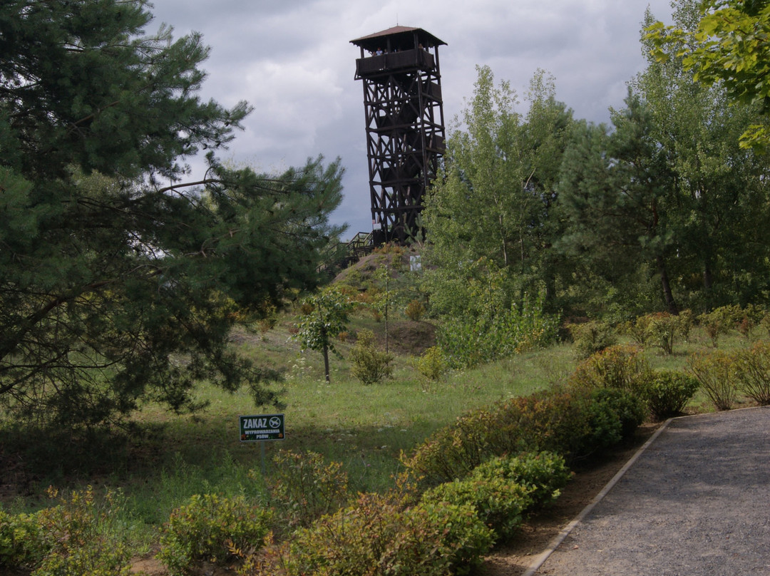 Wooden Observation Tower景点图片
