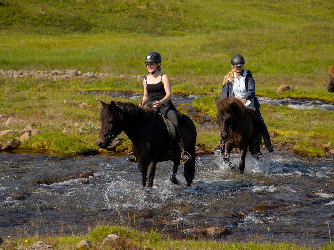 Eyjardalsa-胡萨维克必去景点