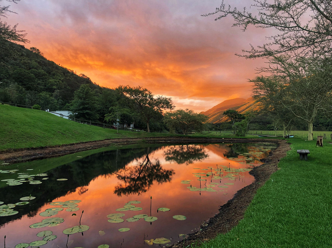 Somerset Gift Getaway Farm