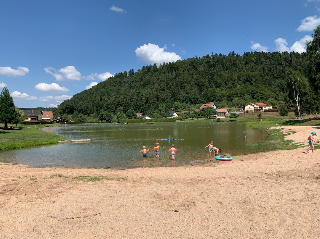 Etang de Walscheid景点图片