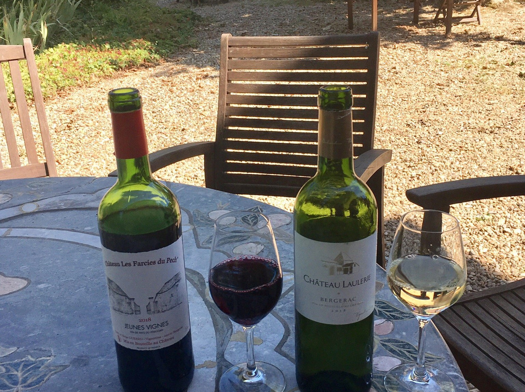 Chateau Les Farcies du Pech'主图