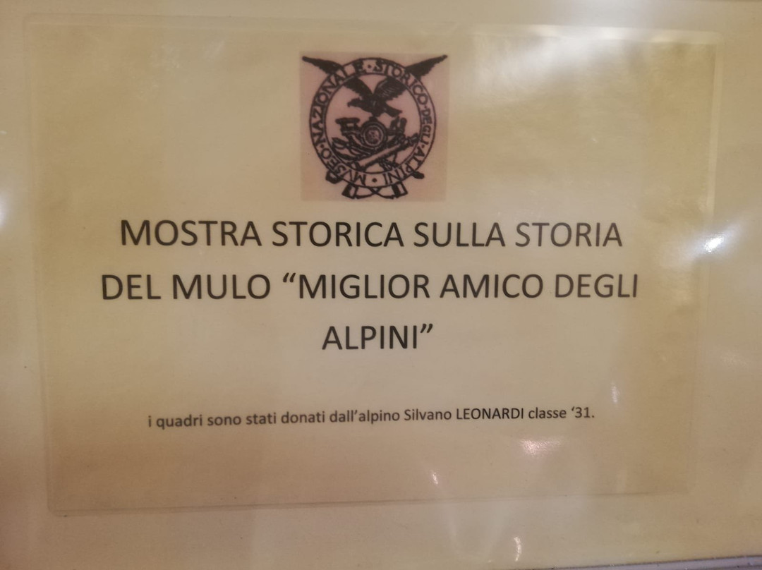 Museo Nazionale Storico degli Alpini景点图片