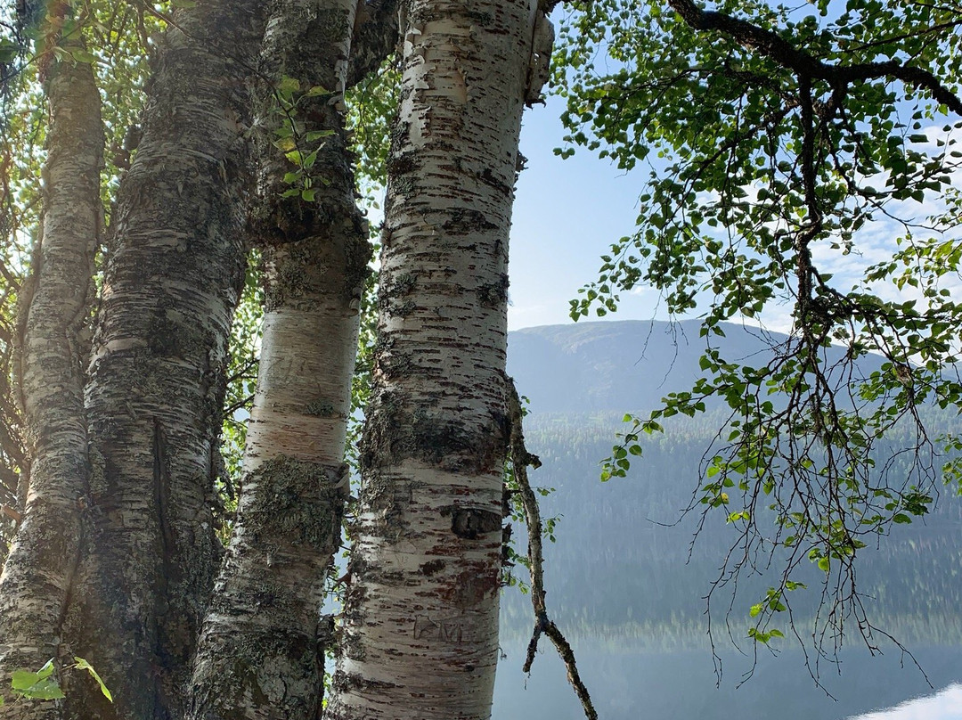 Byers Lake-塔尔基特纳必去景点