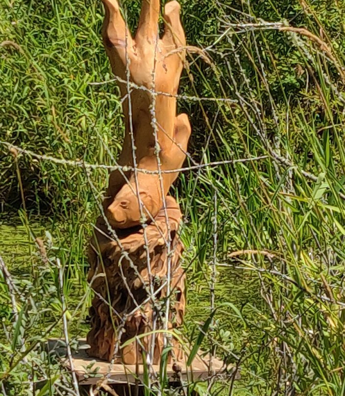Bonhoeffer Botanical Gardens-Stanwood必去景点