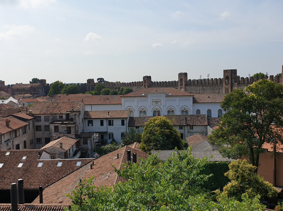 Palazzo del Municipio景点图片