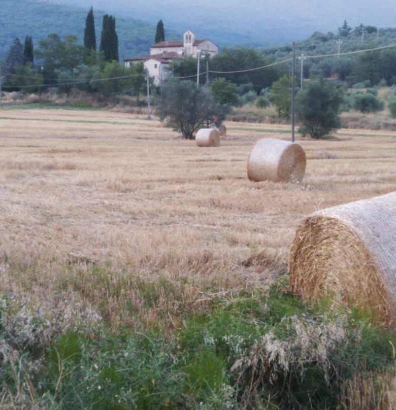 Parco Agricolo di Travalle景点图片