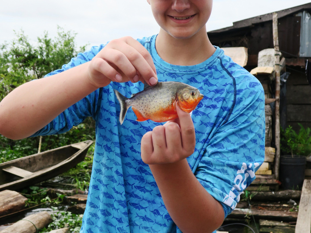 Dawn on the Amazon Tours and Cruises-伊基托斯必去景点