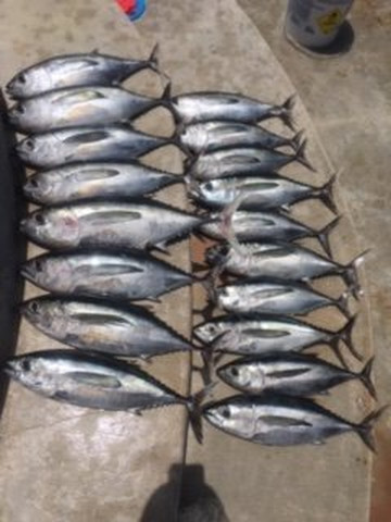 Keys Life Boat Rentals-Tavernier必去景点