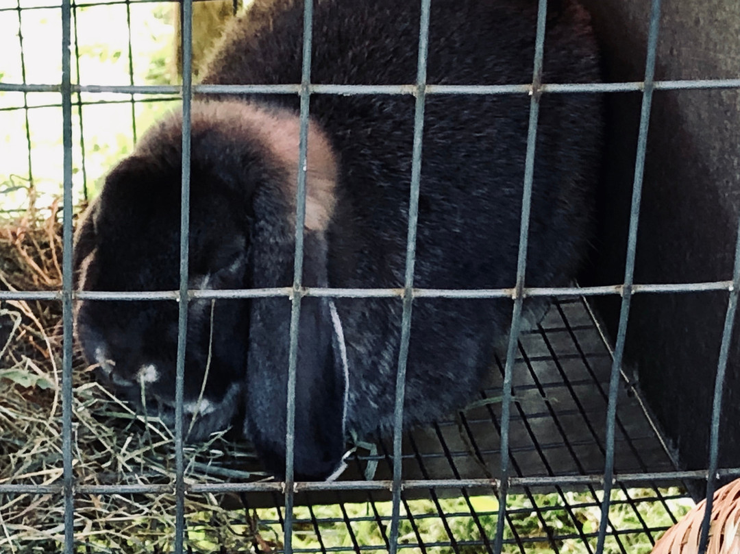 Stratham Hill Farm Park-Stratham必去景点
