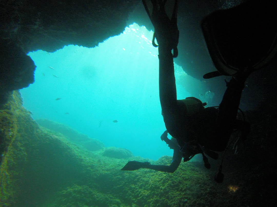 East Coast Divers Mallorca-Portocolom必去景点