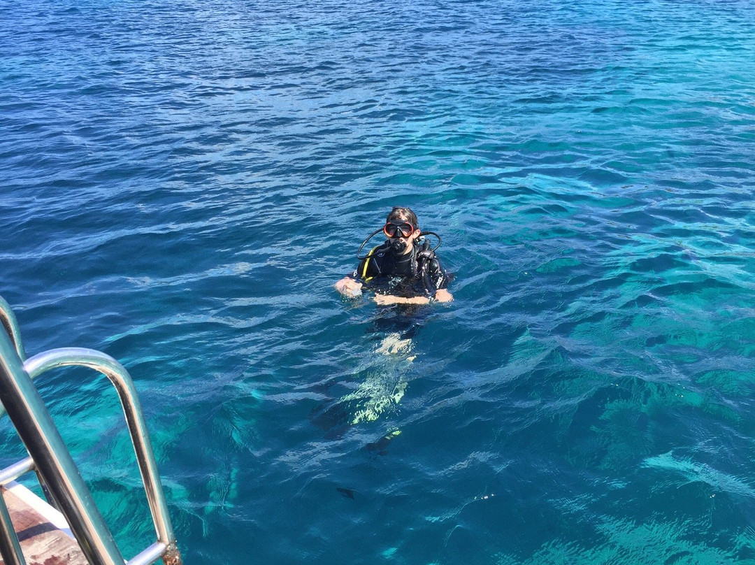 Fiskardo Divers-菲斯卡尔宗必去景点