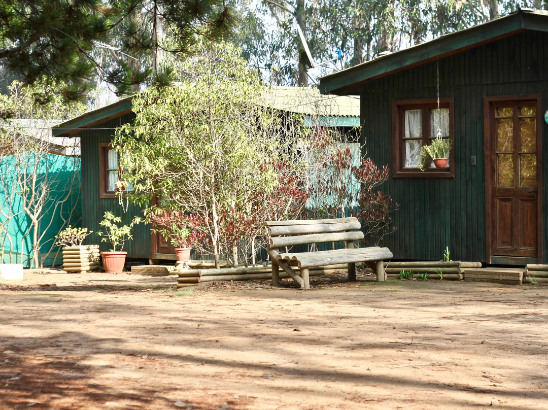 La Magia de Isla Negra Alojamiento Cabanas主图