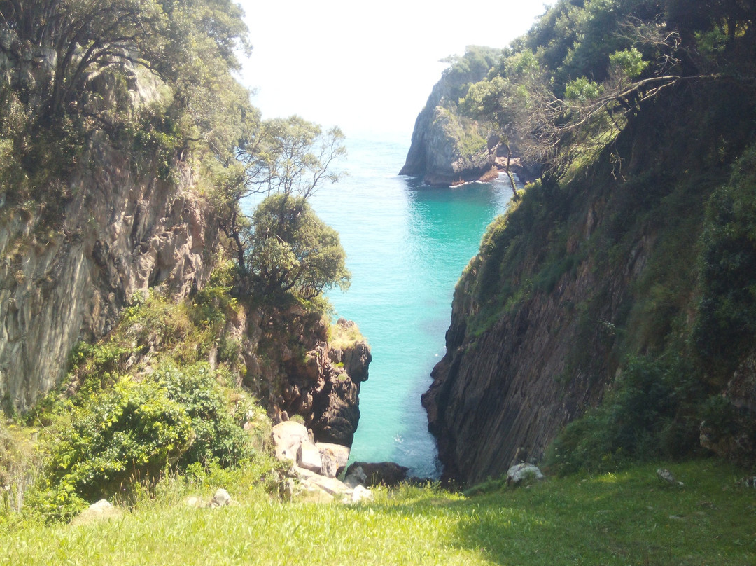 Cueva de El Pindal景点图片