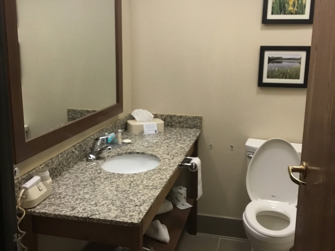 Comfort Inn and Suites主图