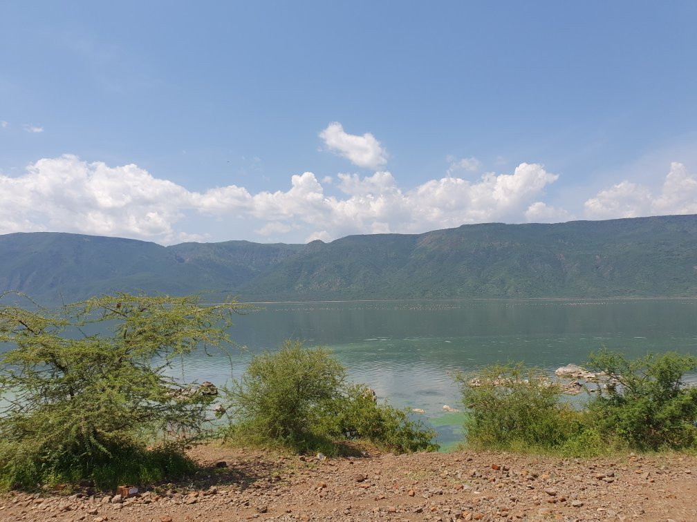 Lake Bogoria景点图片