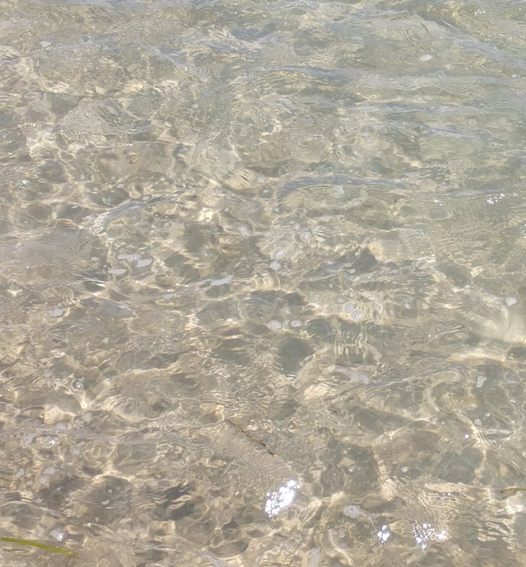 Harding Beach景点图片