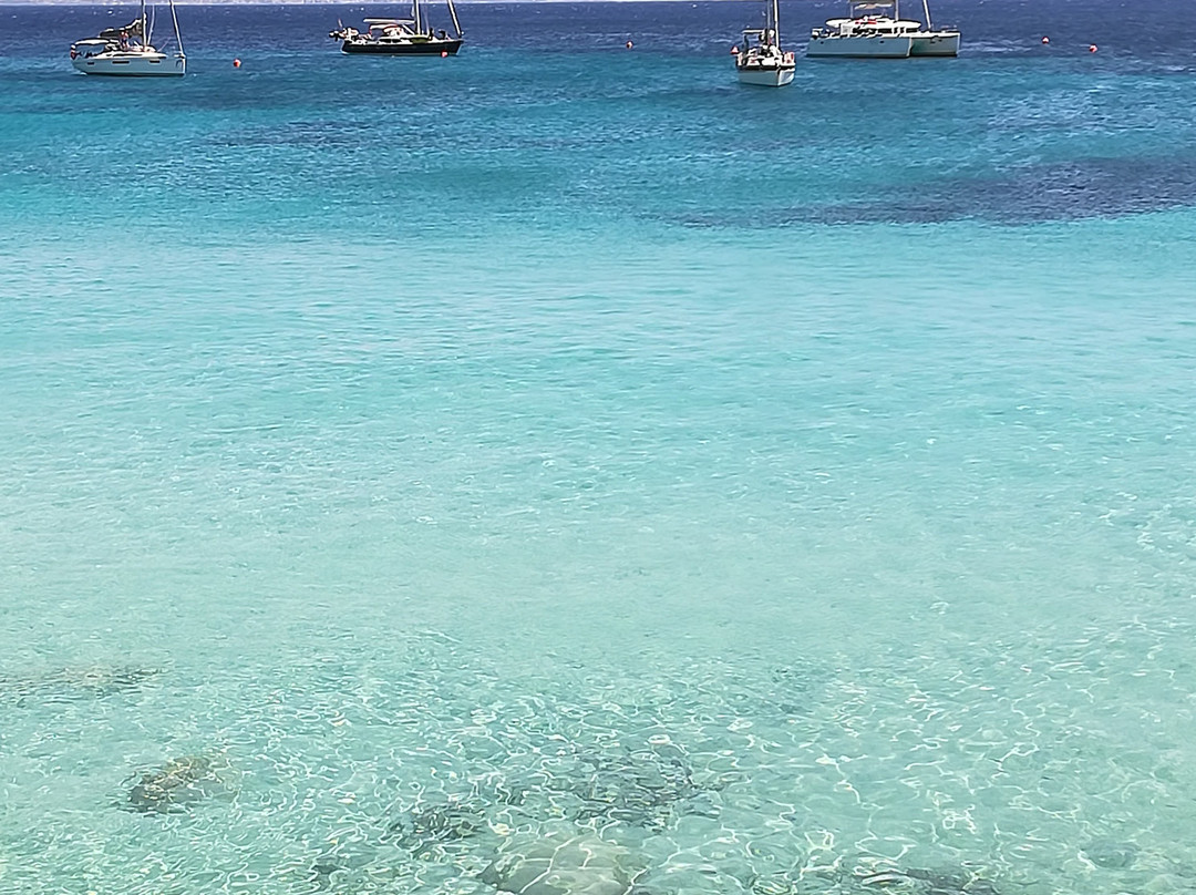 Scogliera Cala Azzurra景点图片