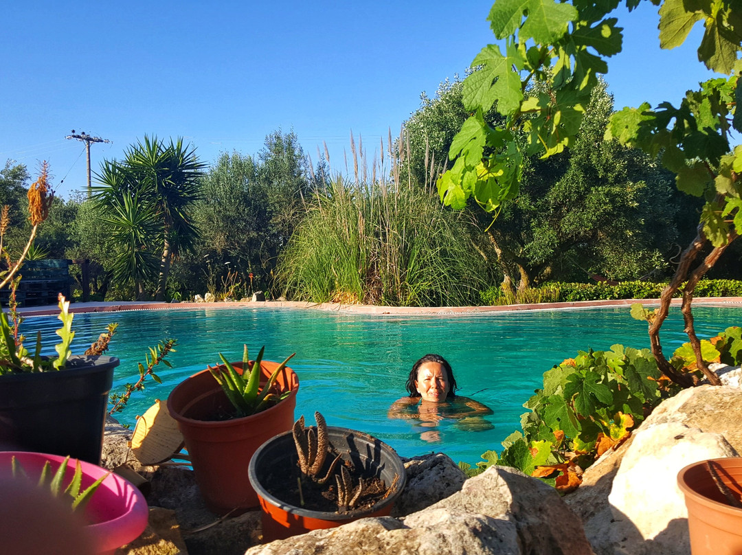 Volidiera Guesthouse主图