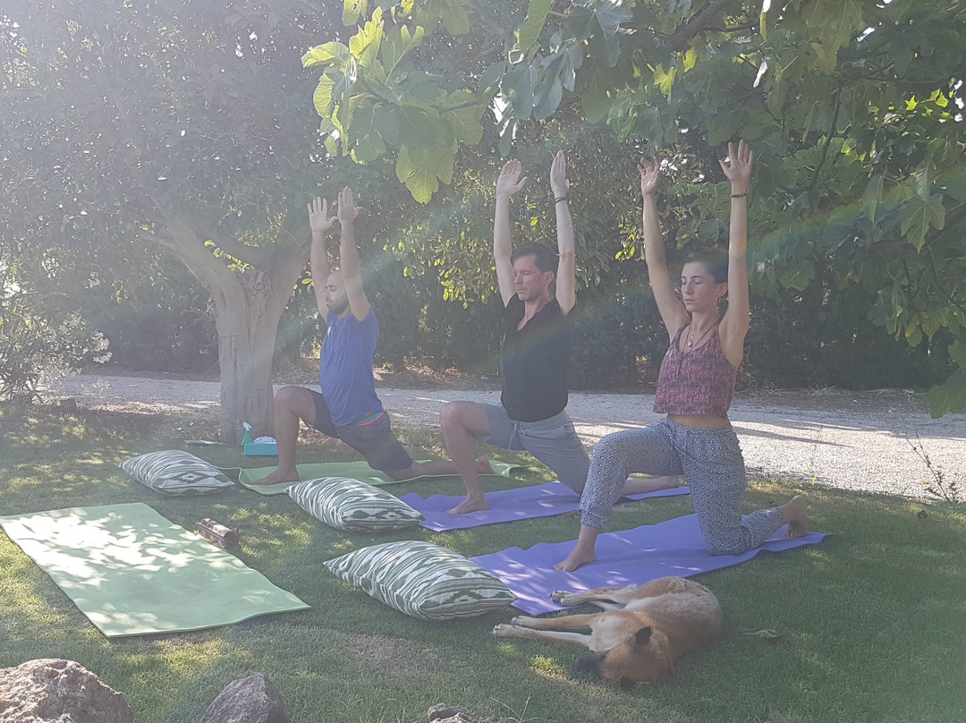 Parampara Yoga & Meditation Retreats in Mallorca景点图片