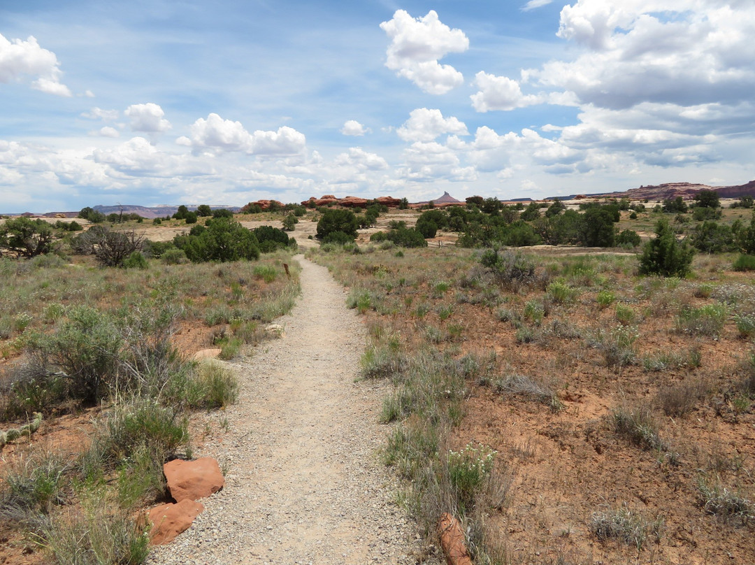Roadside Ruin Trail景点图片