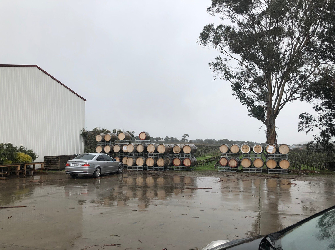 Scarpantoni Wines景点图片