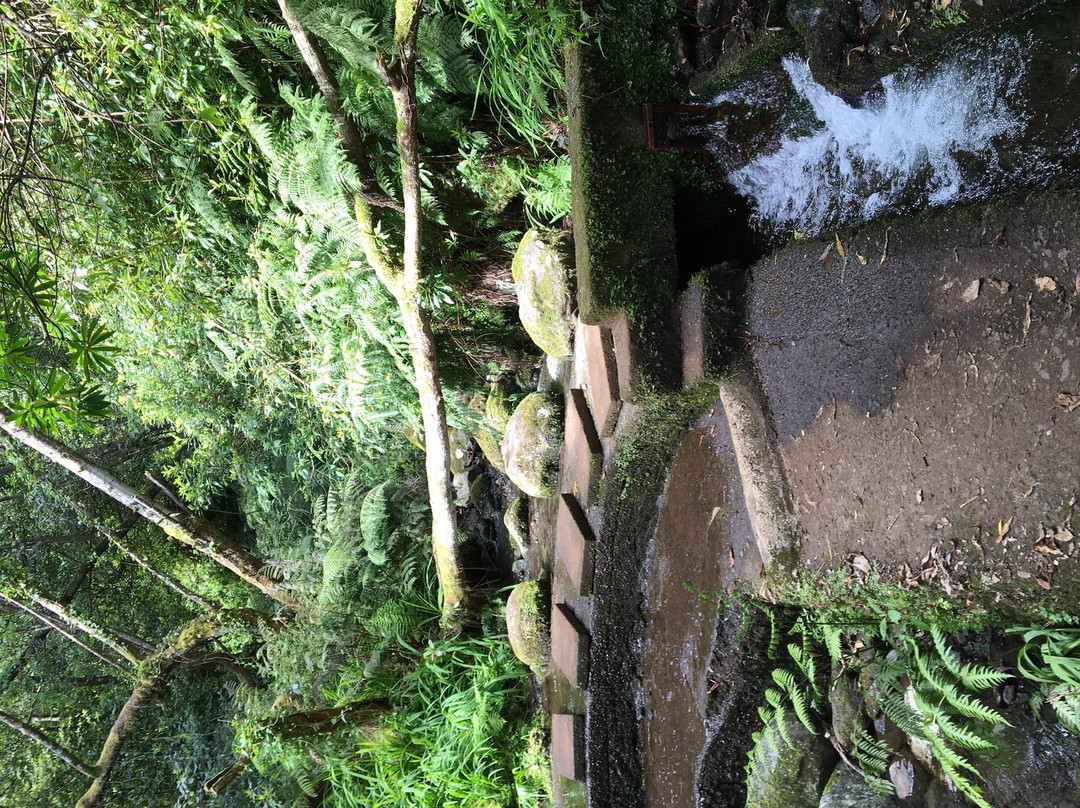 Sofia`s Island Wonders Tour by StoryTell-马德拉群岛必去景点