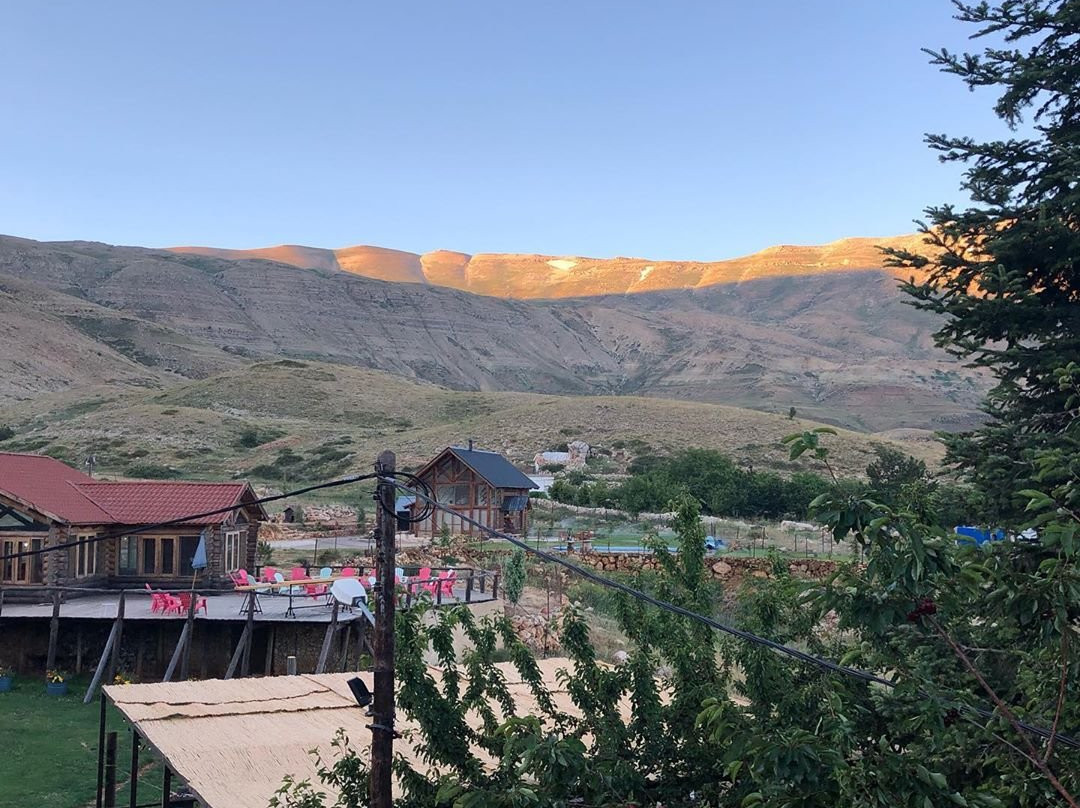 La Maison Des Cedres主图