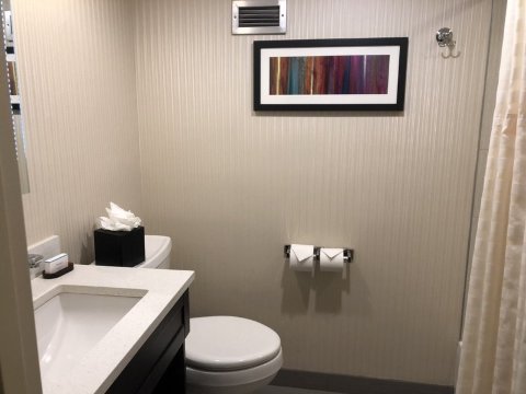 萨默塞特皮斯卡塔韦希尔顿合博套房酒店-浴室