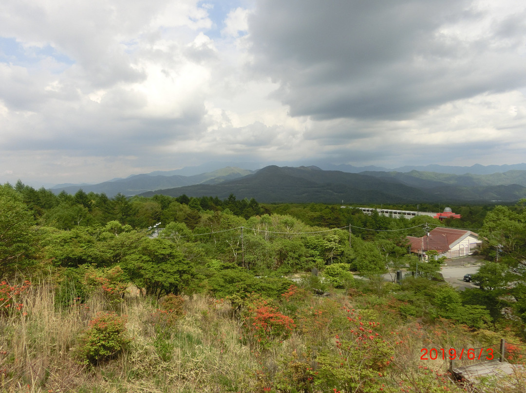 Forest Utsukushinomori景点图片