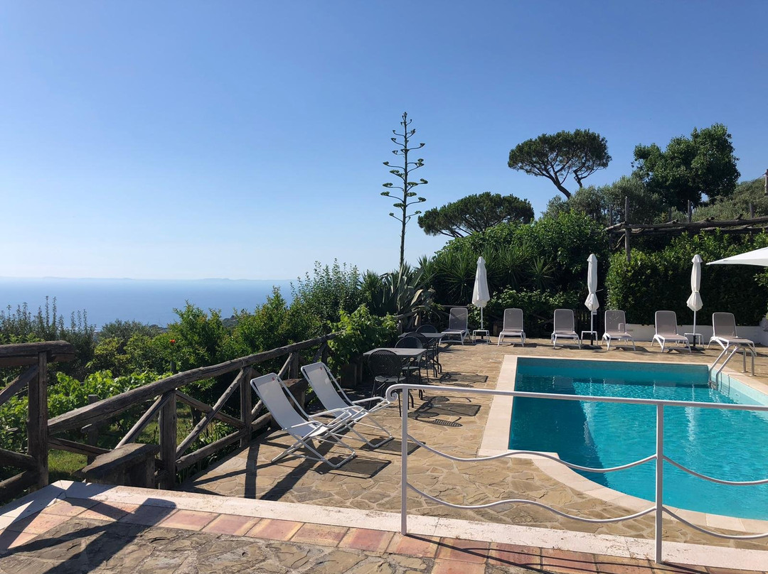 Villa Caprile主图