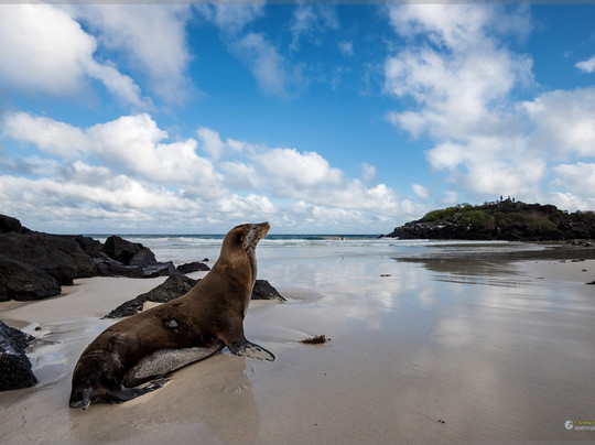 Casa Iguana Mar y Sol主图