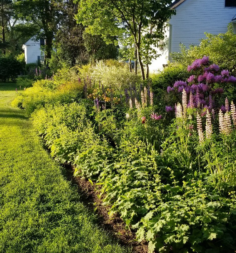 Harrington House B&B主图