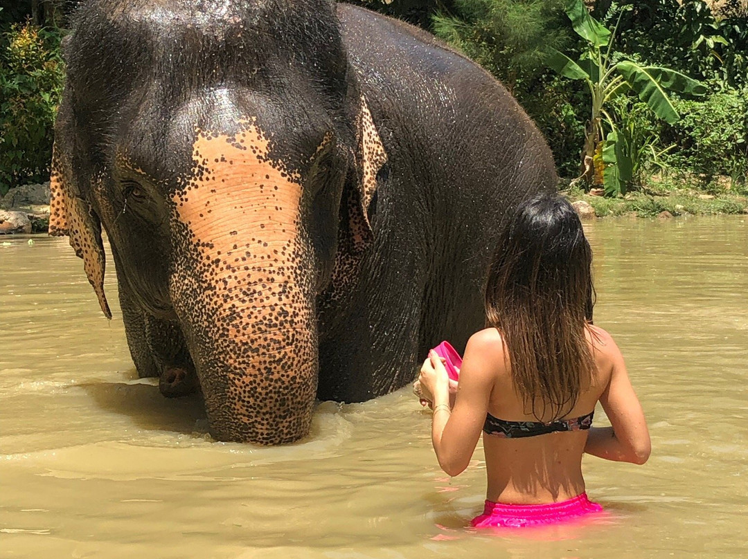 Elephant Sanctuary Kathu Phuket景点图片