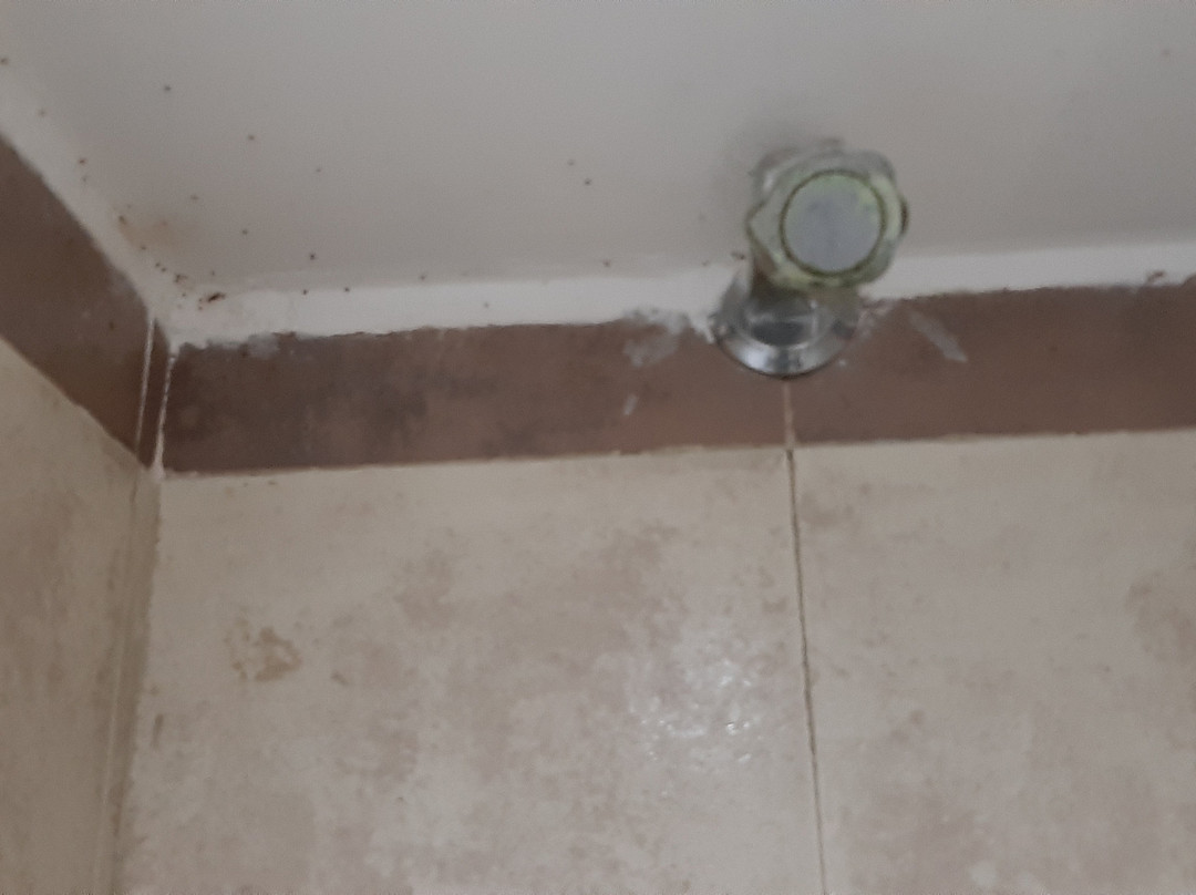 The Orritel Hotel, Hinjewadi主图