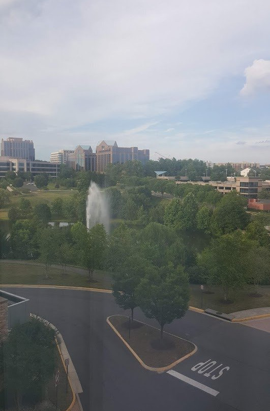 The Westin Washington Dulles Airport主图