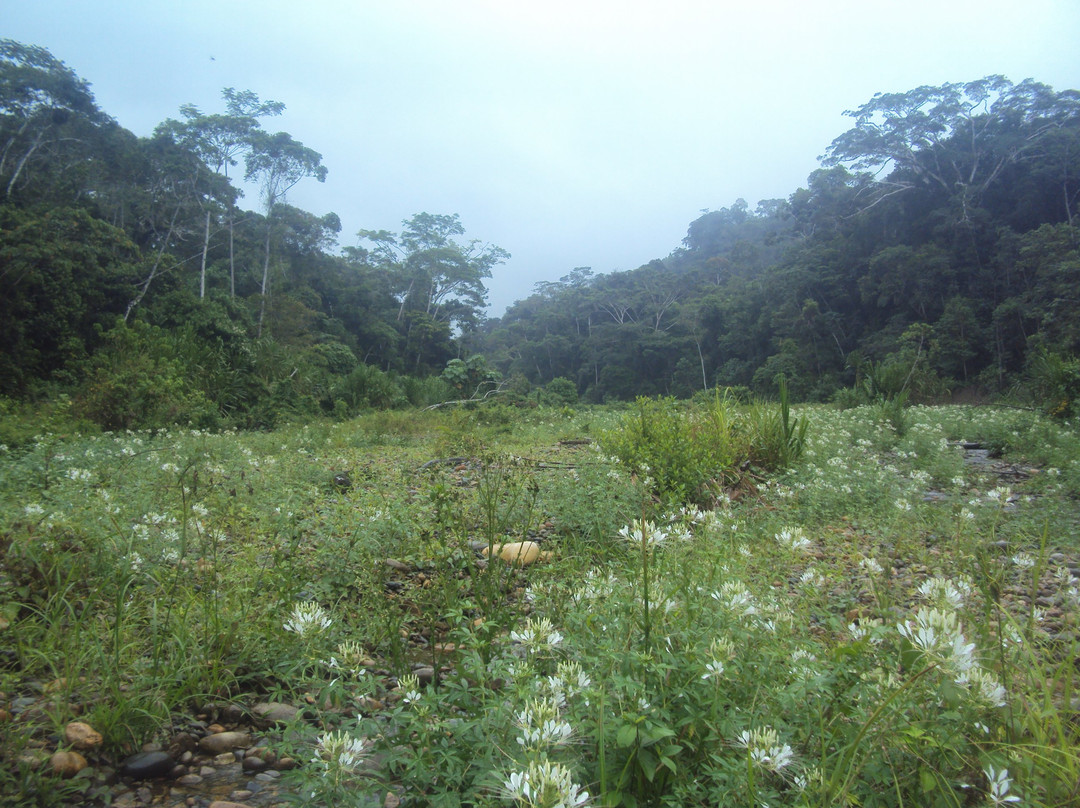 Ixiamas旅游攻略图片