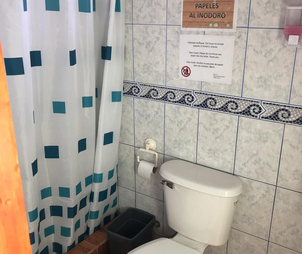 El Amigo Lucho主图