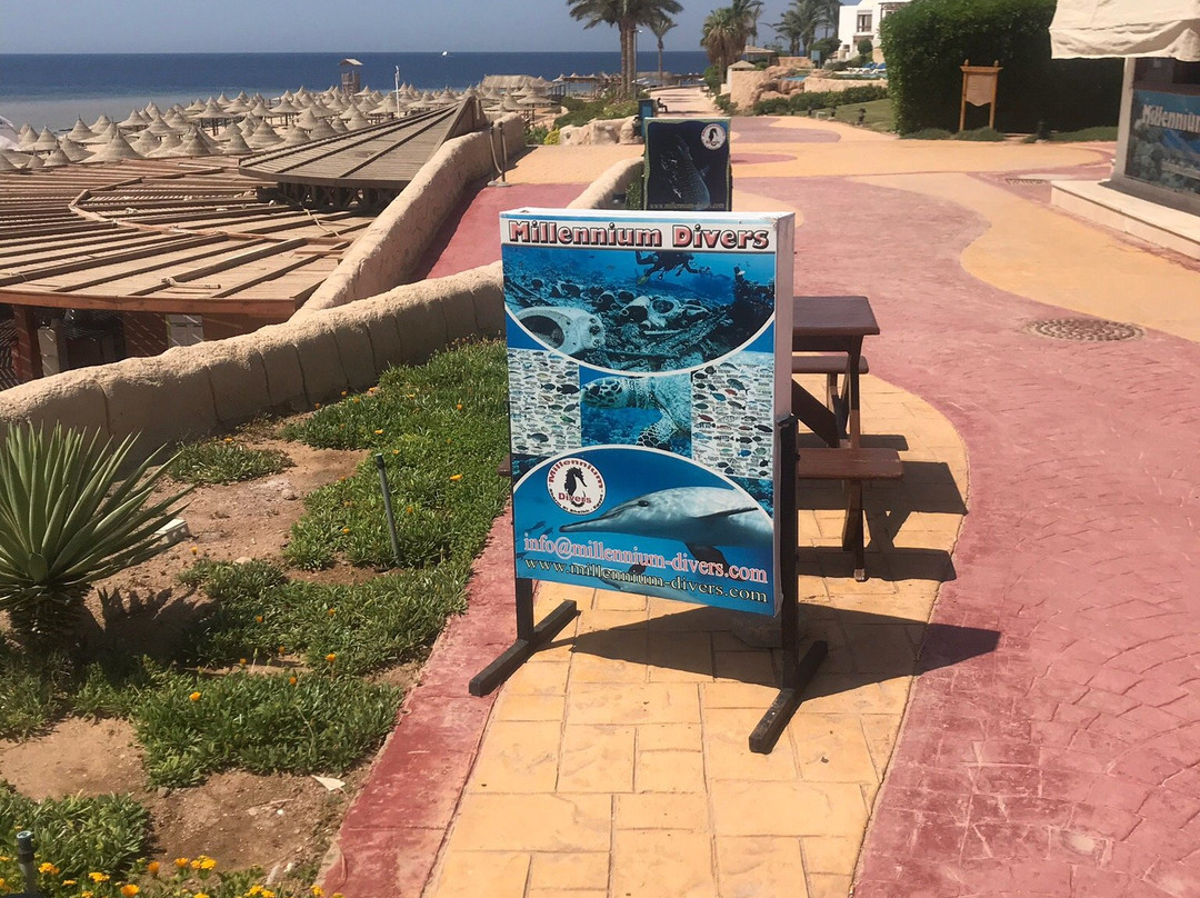 Millennium divers Sharm-沙姆沙伊赫必去景点