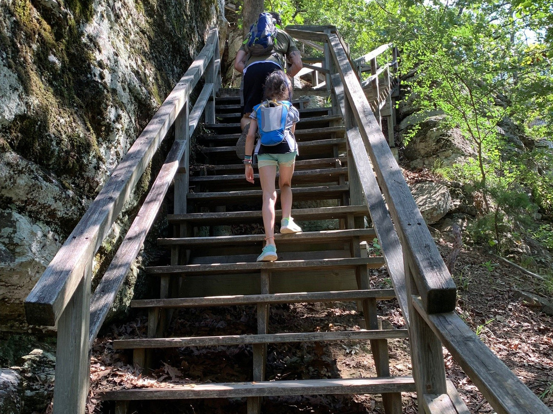 Sugar Loaf Mountain National Nature Trail景点图片