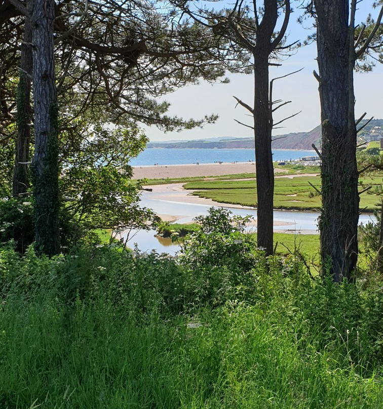 South West Coast Path - Otter Valley Wildlife Walk景点图片