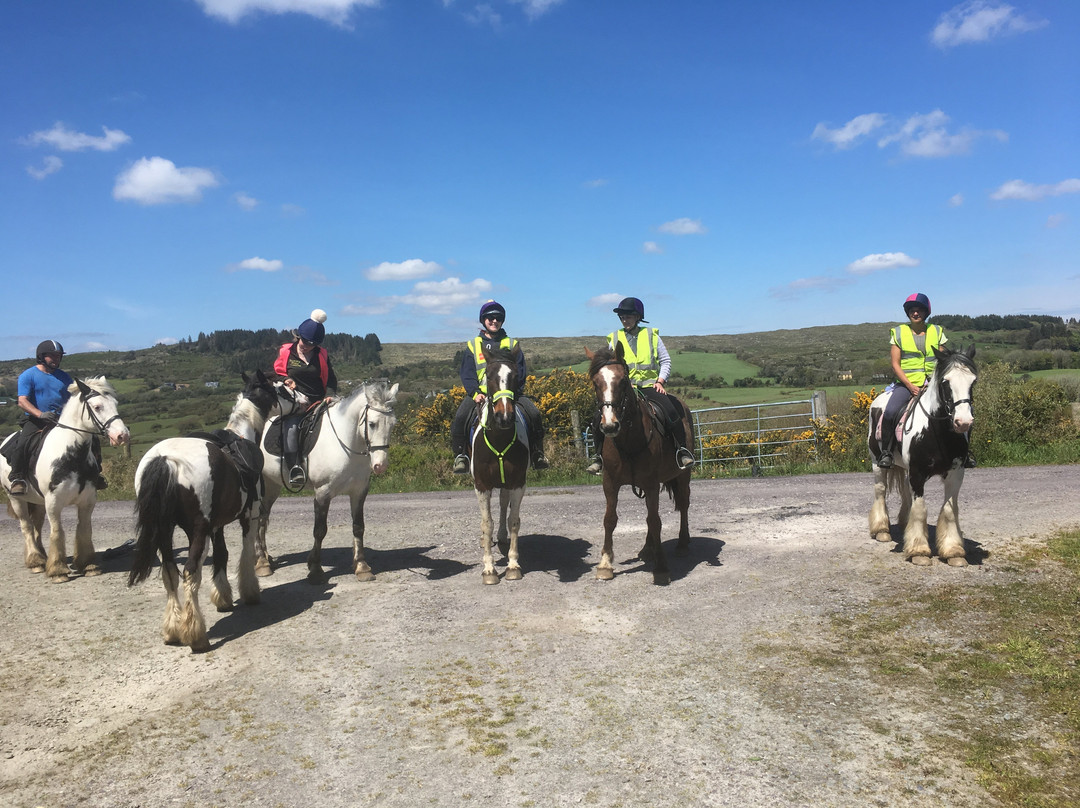 Bantry Pony Trekking景点图片