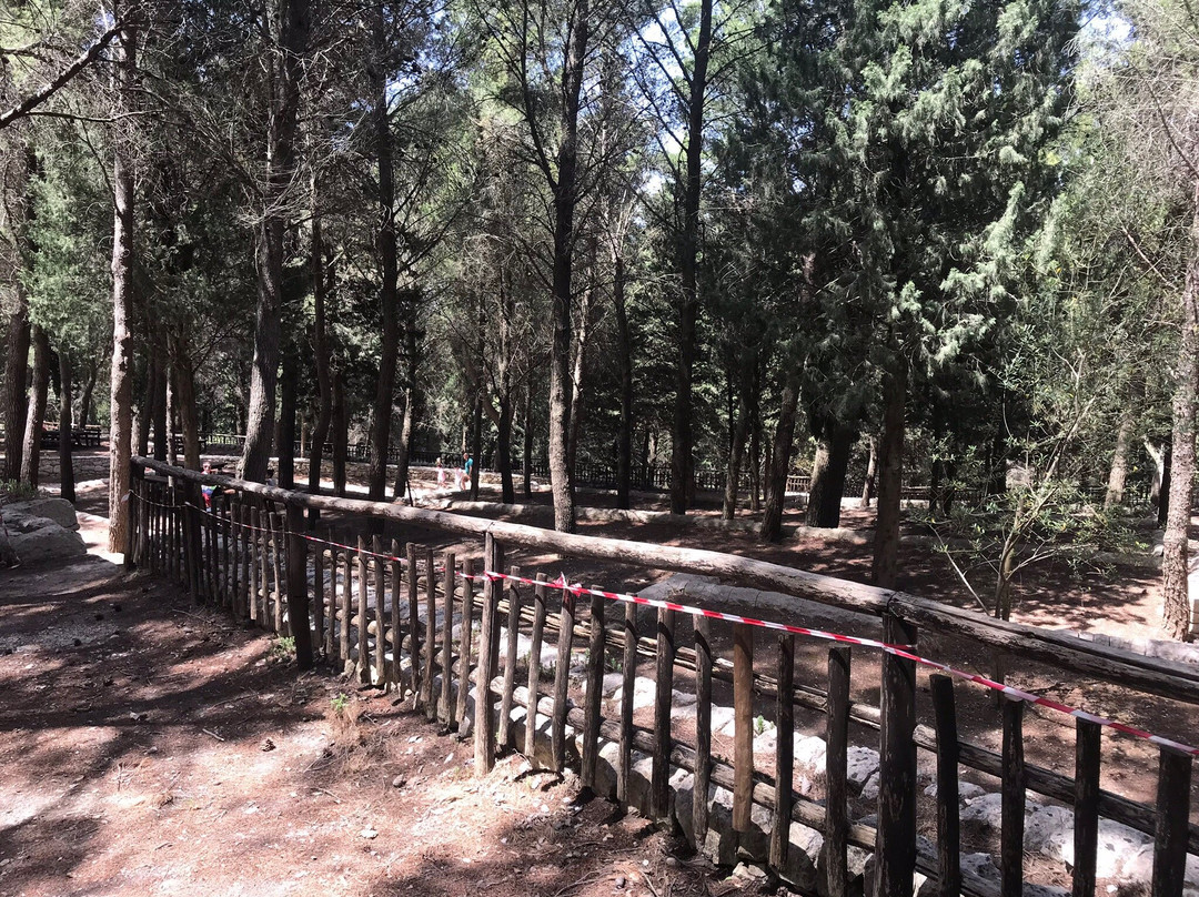 Chiaramonte Gulfi旅游景点-Monte Arcibessi - Area attrezzata Mangiameli