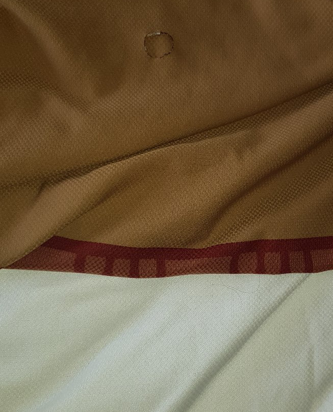 贝斯特韦斯特格里芬酒店主图