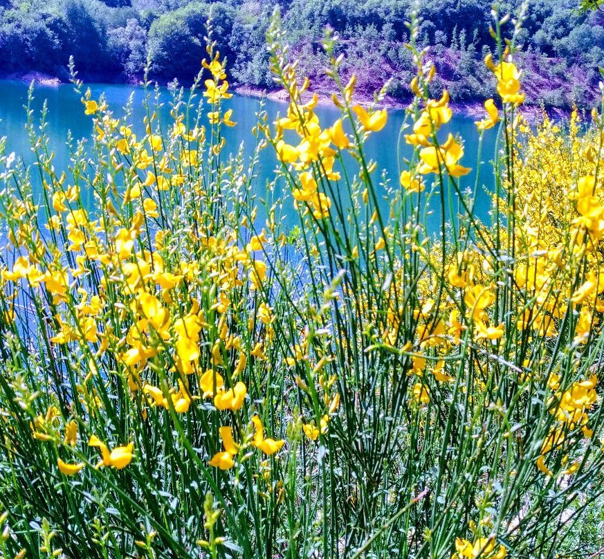 Lago di Gerosa景点图片