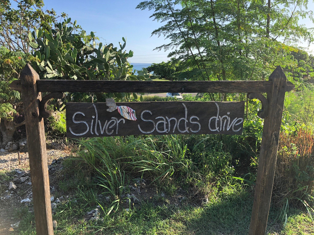 Pineapple Villas主图