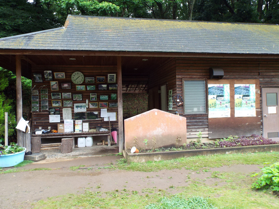 Ninomiya Seseragi Park-二宫町必去景点