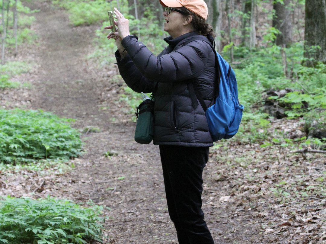 Hope Bay Forest Provincial Nature Reserve景点图片