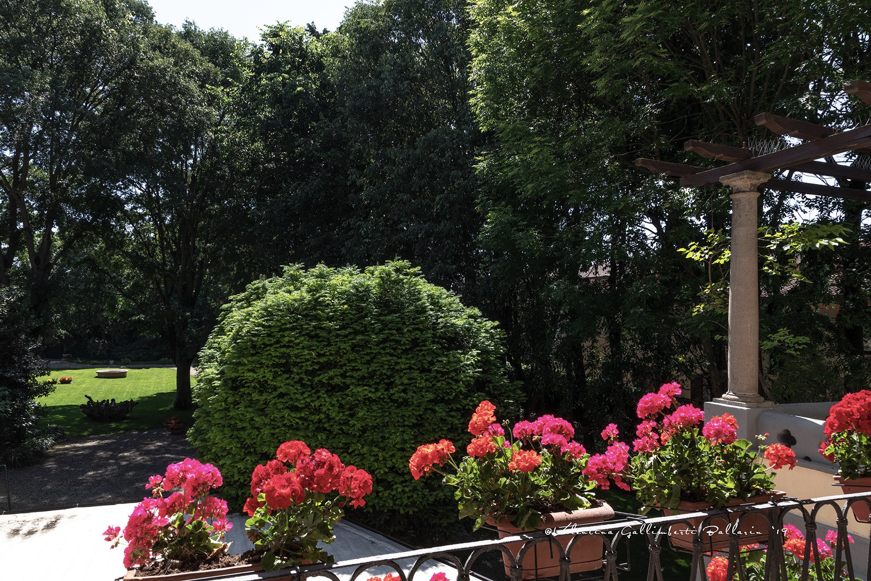 Villa Cantoni-酒店景观