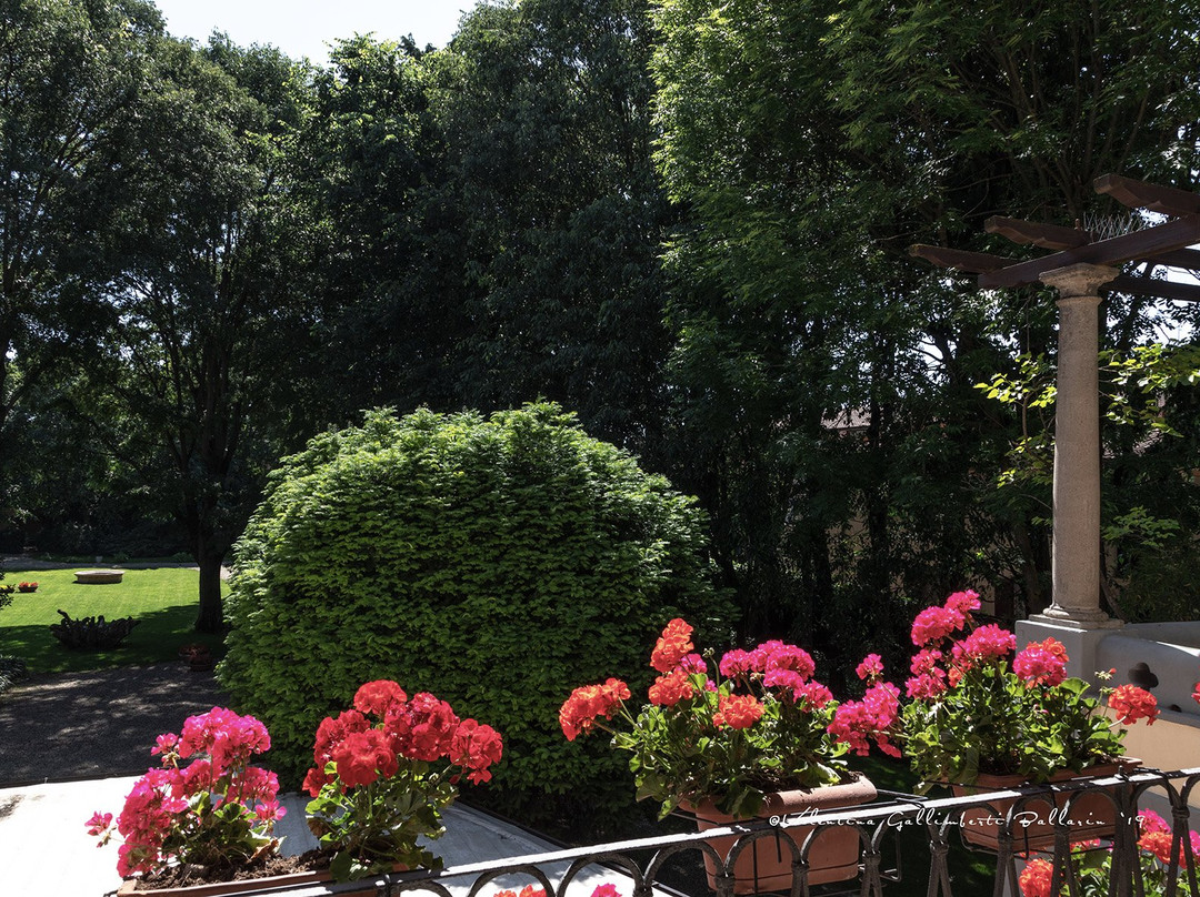 Villa Cantoni主图