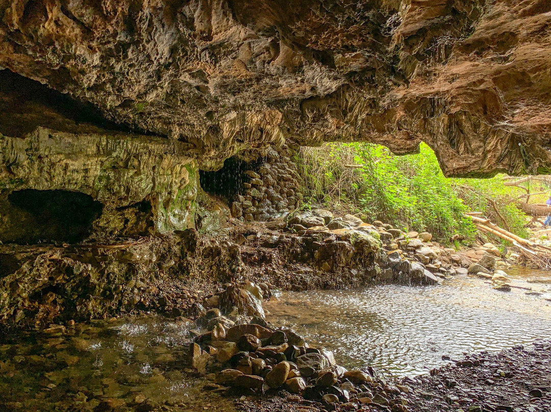 Natural Bridges Trail景点图片